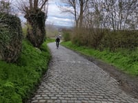 Oude Kwaremont