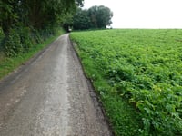 Oude Luikerweg da Euverem