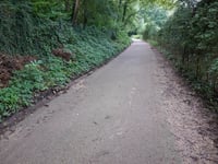 Oude Luikerweg da Euverem
