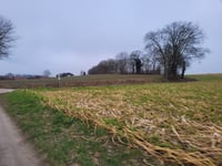 Oude Misweg via Julianastraat