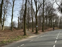 Oude Oosterbeekseweg via Boersberg