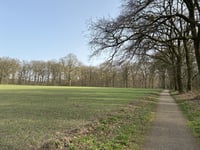 Oude Oosterbeekseweg via Boersberg