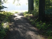 Oude Oosterbeekseweg via Boersberg