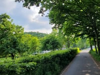 Overstehofweg von Landgraaf