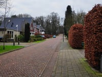 Paasberg über Bosweg