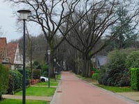 Paasberg über Doctor Cartier van Disselweg