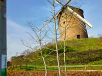 Muur van Zeddam / Paasberg