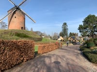 Muur van Zeddam / Paasberg