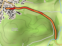 Padberg von Diemel