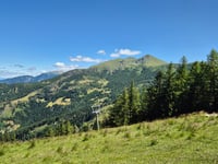 Panarotta von Masetti
