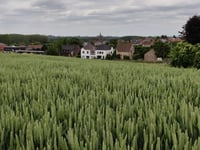 Panisberg via Maasgracht