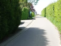 Panisberg via Maasgracht