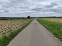Panisberg von Werm