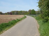 Panisberg von Werm