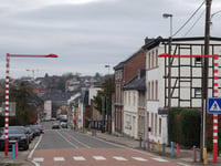 Pannensterzkopf von Eupen