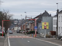 Pannensterzkopf von Eupen