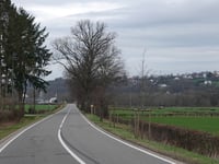 Pannensterzkopf von Eupen
