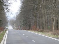 Pannensterzkopf von Eupen