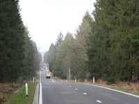 Pannensterzkopf von Eupen