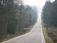 Pannensterzkopf von Eupen