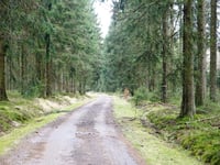 Pannensterzkopf da Küchelscheid via Ruitzhof
