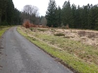 Pannensterzkopf da Küchelscheid via Ruitzhof