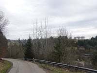 Pannensterzkopf da Küchelscheid via Ruitzhof