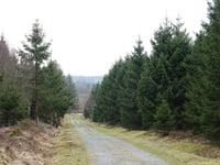 Pannensterzkopf da Küchelscheid via Ruitzhof