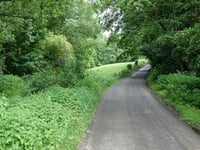 Pannesheider Strasse von Amstelbachtal
