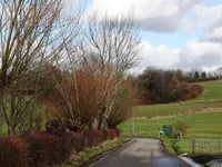 Pannisberg von Hilleshagen