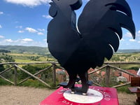 Panzano in Chianti da Greve in Chianti