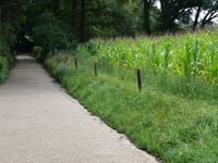 Papenpad von Bennekom