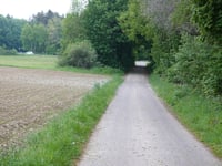 Paradefeld z Longkamp