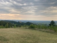 Parco di Roncolo da Roncolo