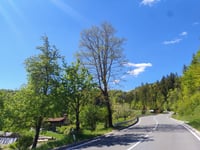 Parg from Čabar