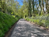 Park Wall Lane von Lower Basildon