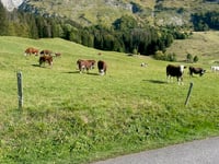 Parking les Sardoches von Le Bouchet-Mont-Charvin
