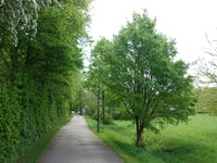 Parkstrasse von Goltsteinstrasse