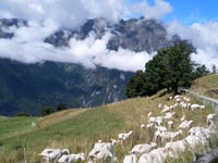 Pas de la Confession von Lac du Verney