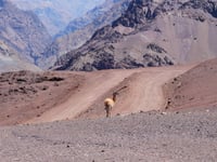 Paso Los Libertadores / Paso de Uspallata z Los Andes