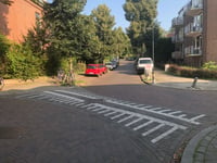Passavantlaan über Leoninusstraat