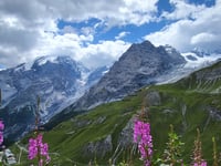 Stilfser Joch