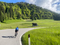 Passo Cereda von Tonadico