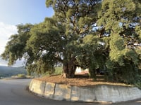 Passo Condrò von Feroleto Scalo