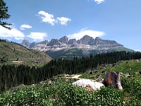 Passo Costalunga da Ponte Nova