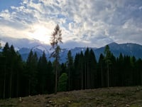 Passo Daone von Ches