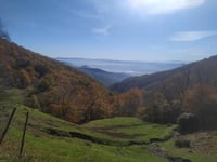 Passo degli Acquiputoli von Pistoia