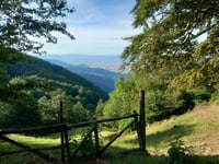Passo degli Acquiputoli desde Pistoia