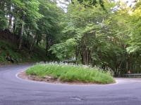 Passo dei Mandrioli z Pian del Ponte