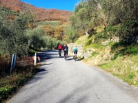 Passo del Ginestro from Garlenda